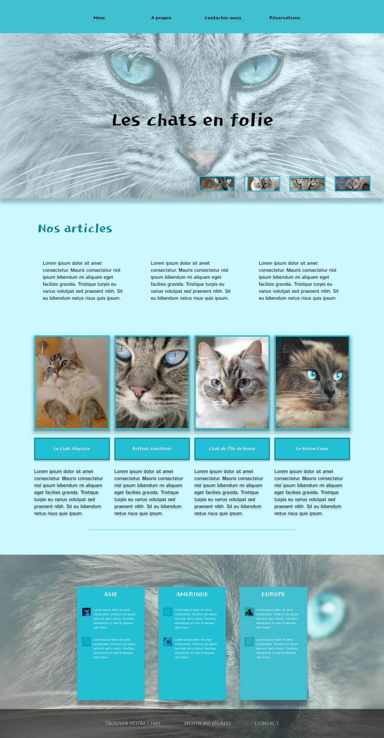 thème chat 1